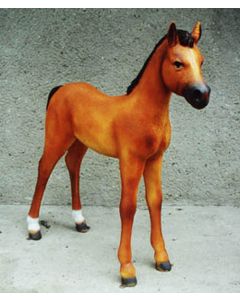 Pferd Fohlen hellbraun lebensgroß