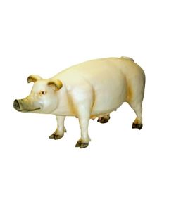 Schwein groß lebensgroß