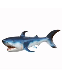 Baby Hai / Shark lebensgroß