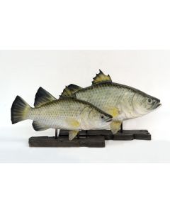 kleiner Barramundi Fisch auf Base lebensgroß