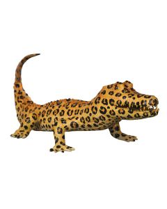Kaiman im Leopardenlook lebensgroß