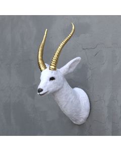weißer Gazellenkopf mit goldenem Geweih lebensgroß