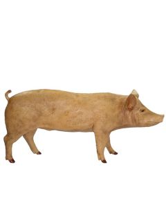 Schwein lebensgroß lebensgroß