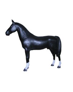 Araber Pferd lebensgroß