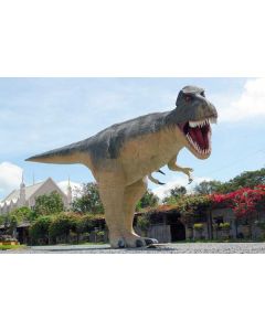 T-Rex Saurier sehr groß lebensgroß