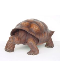Schildkröte braun lebensgroß