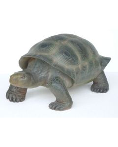 Schildkröte realistische Bemalung lebensgroß