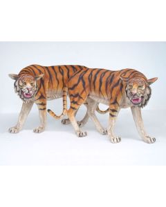 Tiger Rechts lebensgroß