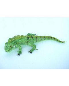 kleine Leguan grün lebensgroß
