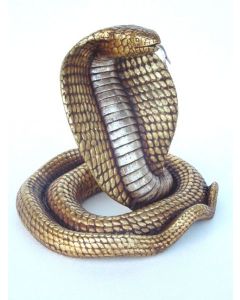 Goldene Cobra lebensgroß