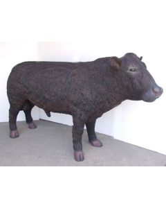 Schwarzer Angus Bulle lebensgroß