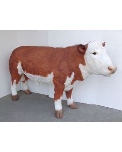 Hereford Bulle gefeckt lebensgroß
