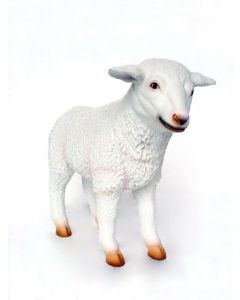 Süßes Lamm lebensgroß