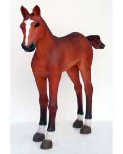 Baby Fohlen lebensgroß