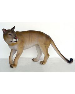 Puma Kuguar lebensgroß