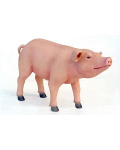 Ferkel das Schwein stehend lebensgroß