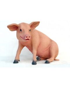 Ferkel das Schwein sitzend lebensgroß