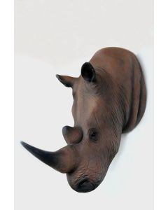 Nashornkopf Rhinoceros lebensgroß