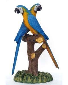 Blau-Goldenes Ara Pärchen lebensgroß