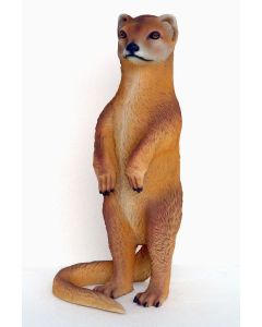 Mungo (indische Schleichkatze) lebensgroß