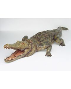 Krokodil lebensgroß