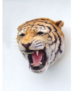 Tigerkopf lebensgroß