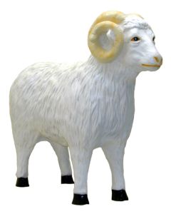 Schafbock lebensgroß