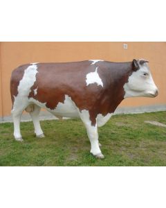 Ochse / Bulle lebensgroß