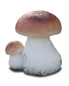 Steinpilze vergrößert