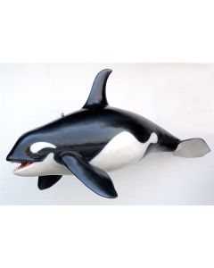 Orca Killerwal lebensgroß