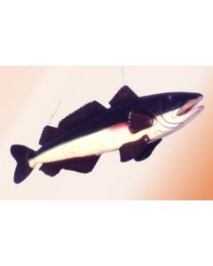 Fisch 1 lebensgroß