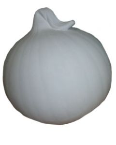 Zwiebel klein vergrößert