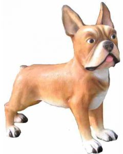 französische Bulldogge Hund XXL übergroß XXL