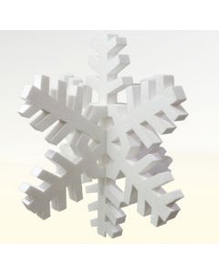 Schneeflocke 3D vergrößert
