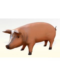 Modernes Schwein lebensgroß lebensgroß