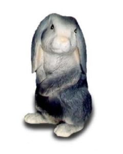 Osterhase Schlappohr klein lebensgroß