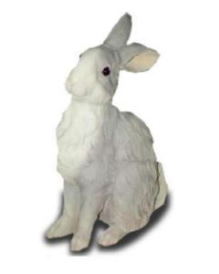 Hase sitzend lebensgroß