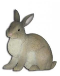 Hase schauend nach rechts lebensgroß