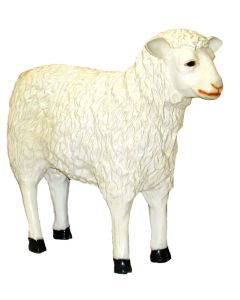 Schaf stehend groß lebensgroß