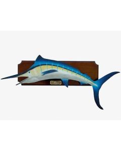 Blue Marlin lebensgroß