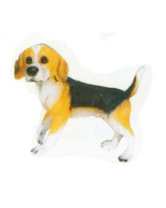Beagle laufend lebensgroß