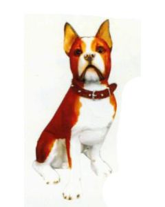 Boston Terrier sitzend braun weiß lebensgroß