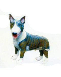 Kampfhund Bullterrier lebensgroß
