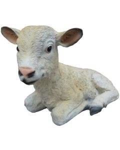 Schaf Lamm lebensgroß
