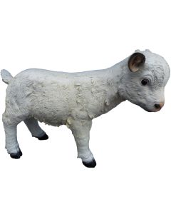 Schaf Lamm lebensgroß