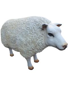 Schaf lebensgroß