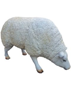 Schaf lebensgroß