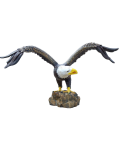 großer Weißkopf Seeadler lebensgroß