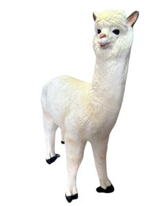 Alpaca lebensgroß