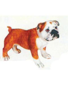 Bulldogge stehend lebensgroß